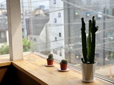 リビングルーム