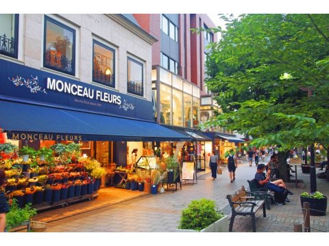 となりの自由が丘