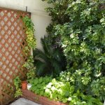 となりの自由が丘