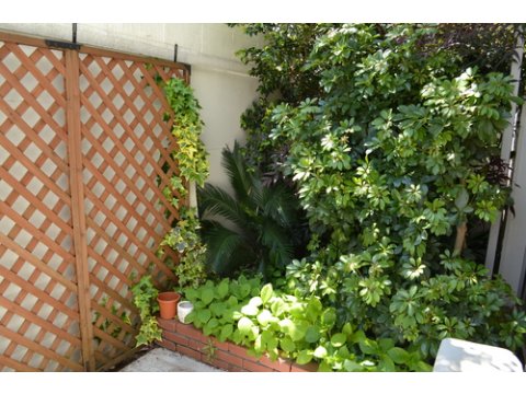 となりの自由が丘