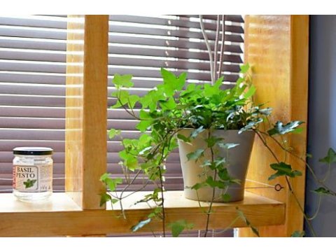 となりの自由が丘