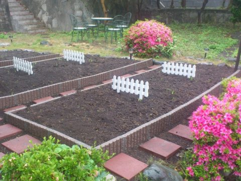 広い庭と自由に使える菜園をお楽しみください