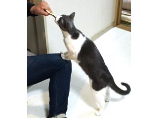 家賃10000円引きキャンペーン°˖✧