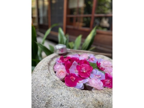 坪庭の花手水です。春バージョン。