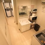 コモンレオン沼袋