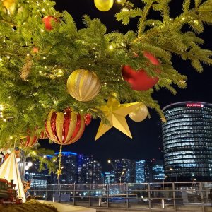 ハウスからすぐのクリスマスツリー☆
キラッキラな横浜です(*´▽｀*)