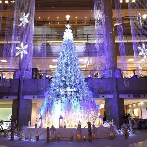 ハウスから近い横浜ランドマークタワー
今年のクリスマスツリー(*^▽^*)
みなさま～素敵なクリスマスを☆