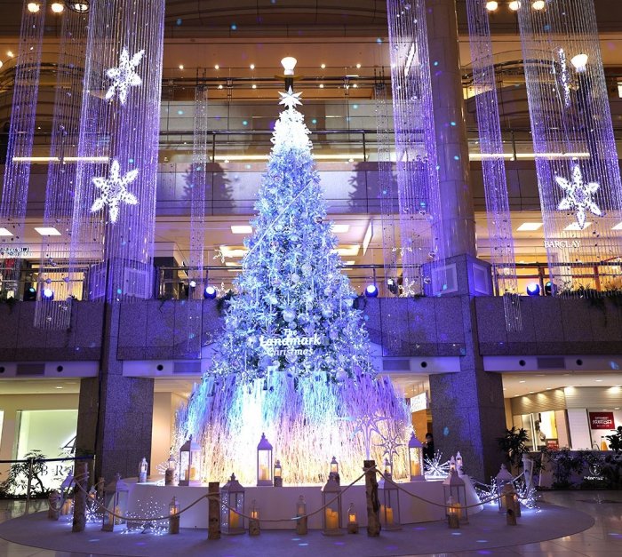 ハウスから近い横浜ランドマークタワー
今年のクリスマスツリー(*^▽^*)
みなさま～素敵なクリスマスを☆