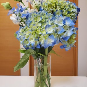 屋上からもお部屋のバルコニーからも
みなとみらいが一望できます(*^▽^*)
本日のお花は紫陽花です♪6月だなぁ

横浜駅までも歩ける4人だけの少人数
東神奈川ハウス(京急 神奈川新町駅や
東急東横線 東白楽駅も利用できます)

自転車置き場もあり便利です(^^ゞ
大きな個室に大きなクローゼット
各バルコニーも大型ですよ～♪♪

ツイッターはこちらから→https://twitter.com/Twinkle_place