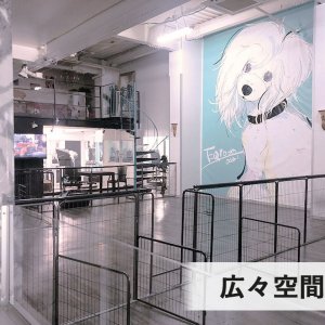 広々空間にドッグラン有！