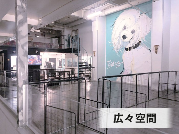 広々空間にドッグラン有！