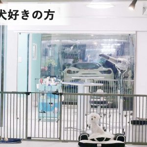 ドッグトリミングサロンです
犬好きの方に！