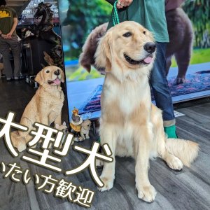 大型犬も大歓迎！
ワンちゃんを飼っている方、飼いたい方のためのシェアハウスです