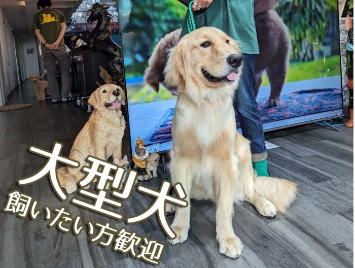 大型犬も大歓迎！
ワンちゃんを飼っている方、飼いたい方のためのシェアハウスです