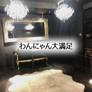 御部屋でワンちゃん、ネコちゃんを飼う事が出来ます。