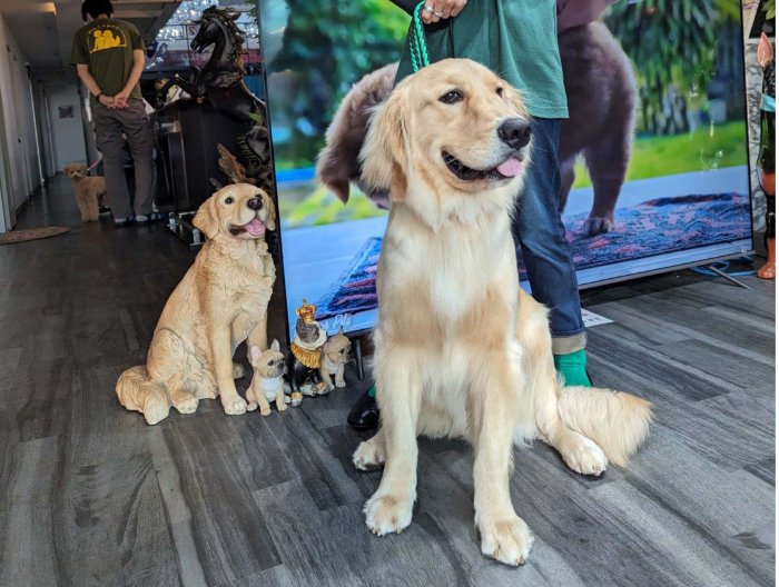 大型犬も大歓迎！
ワンちゃんを飼っている方、飼いたい方のためのシェアハウスです
