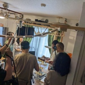 猫と猫好きのためのシェアハウス『にゃんこの森横浜』は猫カフェのような共用スペースで猫好き入居者同士が猫を囲んでコミュニケーションを楽しんでいます。

猫が大好きだけど自分では飼えない方も、経験者に囲まれてアドバイスをもらいながら飼い始めたい方も、猫飼育者同士の交流を楽しみたい方もぜひお楽しみください♪
