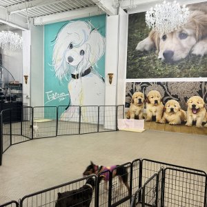 広いドッグランのあるシェアハウスです