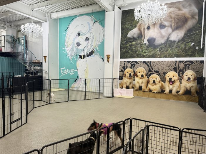 広いドッグランのあるシェアハウスです