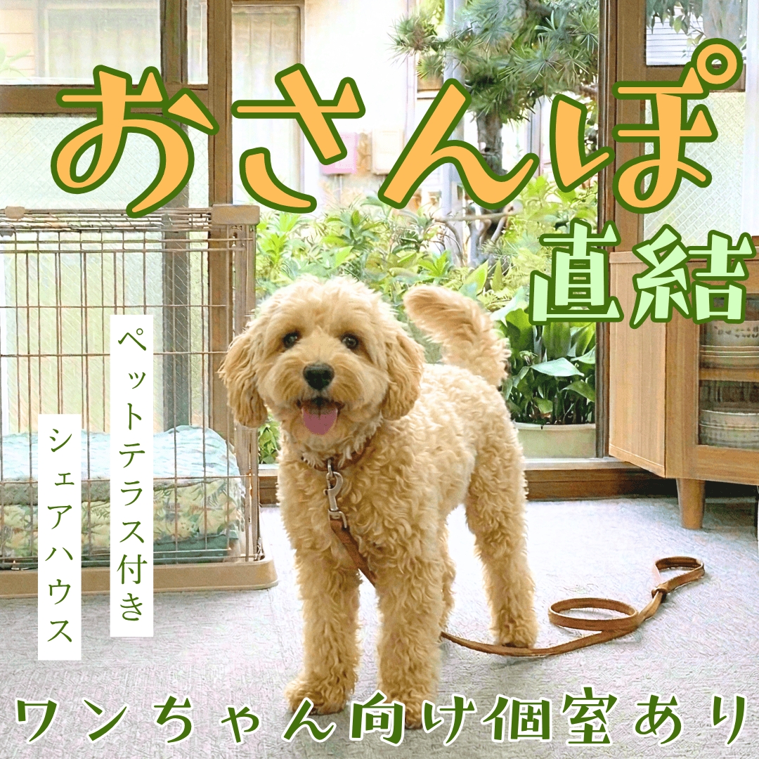 ワンちゃんオーナーの入居者様には、お庭と直結の1階個室がおすすめ🐶

お庭にある人工木ドックランで遊ばせたり、近所の公園や海沿いの道をお散歩したり🐾たっぷり遊んで汚れたら、ペット用温水シャワーで足を洗って、テラスからそのままお部屋に入れます。

※お庭は絶賛改装工事中！（5月頃完成予定）完成次第、お写真を公開します📷️

個室の床材には、ワンちゃんの足に優しく汚れた部分を取り替え可能なタイルカーペットを使用しています。