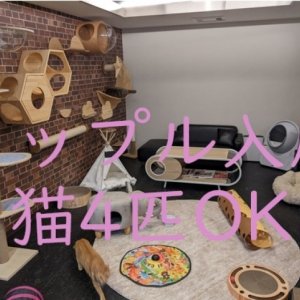 猫最大4匹まで一緒に入居できる12畳（20㎡）の広いお部屋で空室が発生しました！
カップル2名入居限定です。
シェアハウスでカップル＋猫で入居できる大変貴重なお部屋です♪