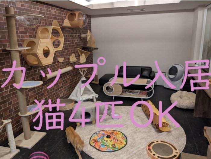 猫最大4匹まで一緒に入居できる12畳（20㎡）の広いお部屋で空室が発生しました！
カップル2名入居限定です。
シェアハウスでカップル＋猫で入居できる大変貴重なお部屋です♪