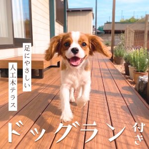 ドッグラン付き！足にやさしい人工木テラスのある、横須賀のペット共生型シェアハウス「しっぽテラス横須賀」です。
小型犬がのびのび走り回れる、滑りにくいウッドデッキを完備しています。

横須賀エリアで、愛犬の運動量やお散歩時間の確保が気になっている飼い主様へ。
当物件の人工木テラスは、天然木に比べてささくれが少なく安全。元気いっぱいの小型犬が走り回っても滑りにくいので関節への負担も抑えられます。
一般的なコンクリートと違い熱を持ちにくいので日中でも安心。土のお庭と比較しても足が汚れにくいので、外遊びがとっても気軽に！

また、お庭にはペット用温水シャワーもあるので、海沿いの道や公園等のお散歩帰りでも簡単に足を清潔にしておうちに入ることが可能です。

お散歩に行けない雨上がりや、ちょっとしたリフレッシュタイムに。自宅にいながらドッグラン気分を味わえる暮らしを始めてみませんか？

ペット可物件を探している方は、ぜひページ右上にあるクリップ🖇️をタップして、保存しておいてください！

※画像はイメージですが、実際のテラスもワンちゃんの足に配慮した人工木素材を使用しています

#横須賀ペット可 #ドッグランのある家 #小型犬のいる暮らし #しっぽテラス横須賀 #三浦半島