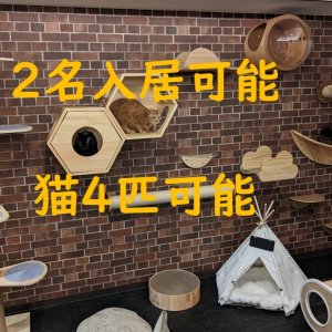 猫最大4匹まで一緒に入居できる12畳（20㎡）の広いお部屋で空室が発生しました！
カップル2名入居限定です。
シェアハウスでカップル＋猫で入居できる大変貴重なお部屋です♪