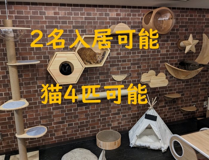 猫最大4匹まで一緒に入居できる12畳（20㎡）の広いお部屋で空室が発生しました！
カップル2名入居限定です。
シェアハウスでカップル＋猫で入居できる大変貴重なお部屋です♪