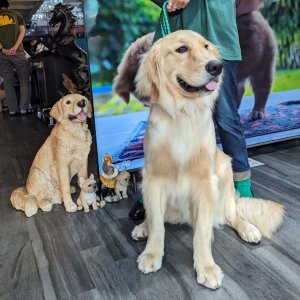 ワンちゃんと暮らせるシェアハウスです