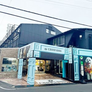 入口です。