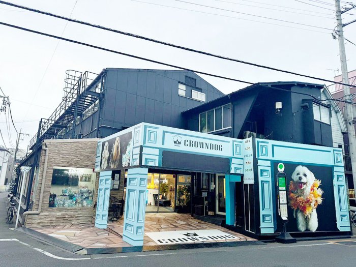 入口です。