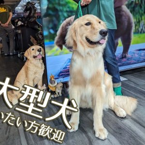 大型犬もOKです！
